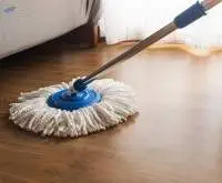 Mops