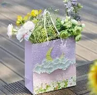 Paper Bag For Flower