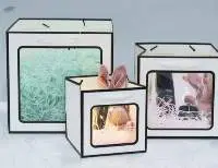 Flower Carry Paper Bag With Window