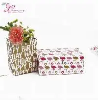 Glossy Gift Paper