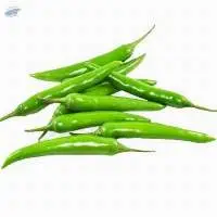 Chilli