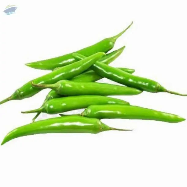 Chilli