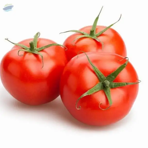 Tomato