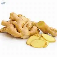 Ginger
