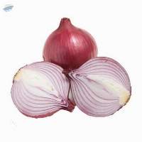 Onion