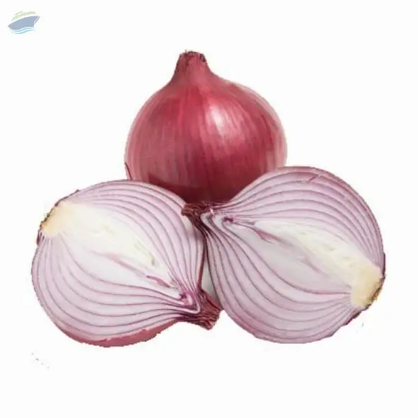 Onion