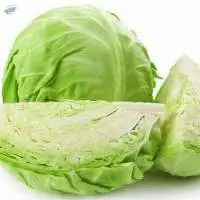 Cabbage