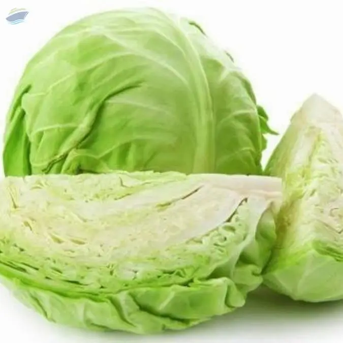 Cabbage