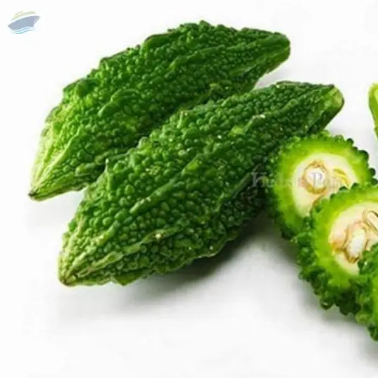 Bitter Gourd/ Karela