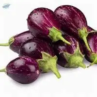 Brinjal