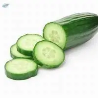 Cucumber