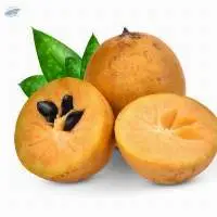 Sapota Or Chikoo