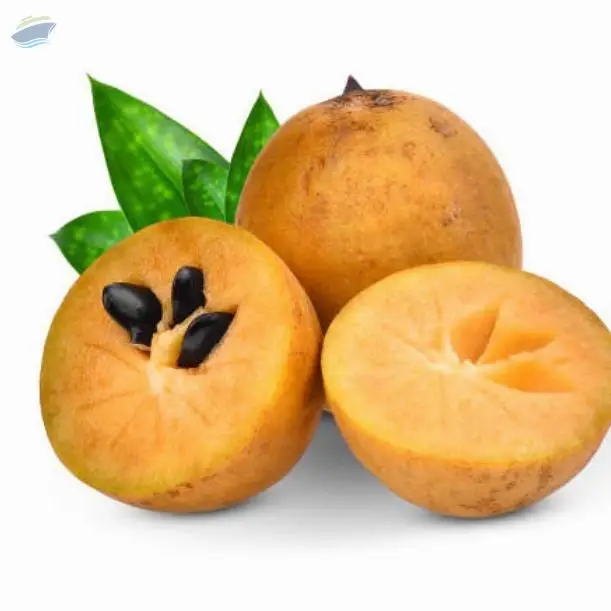 Sapota Or Chikoo