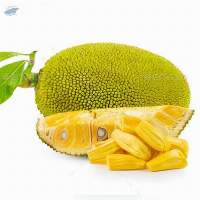 Jackfruit