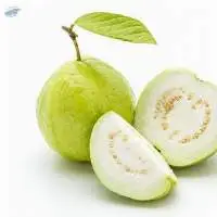 Guava