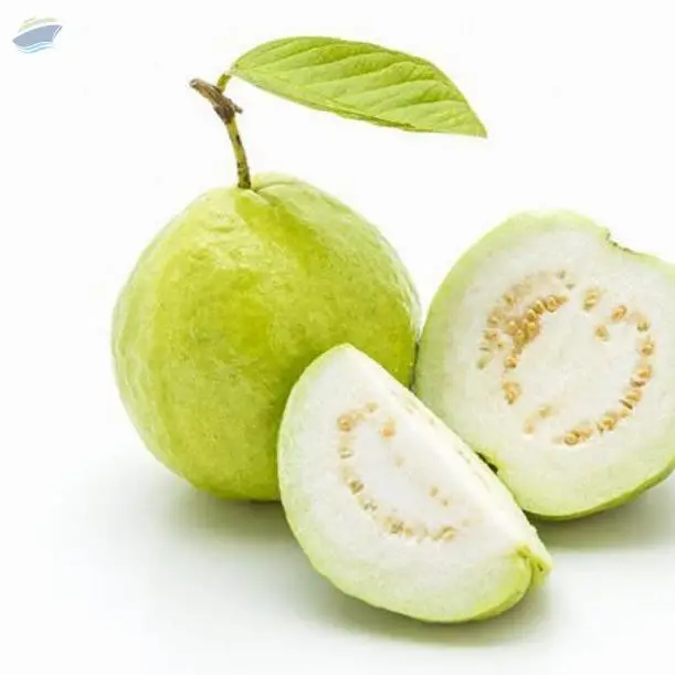 Guava