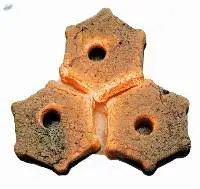 Coconut Charcoal Briquette for BBQ