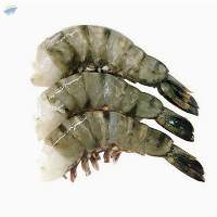 Tiger Shrimp