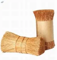 Coconut Bristle