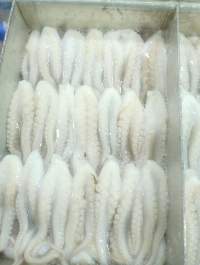 Frozen Cut Baby Octopus