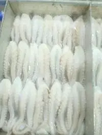 Frozen Cut Baby Octopus