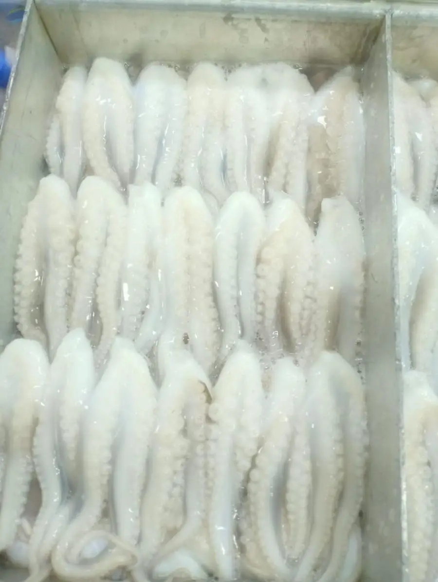 Frozen Cut Baby Octopus