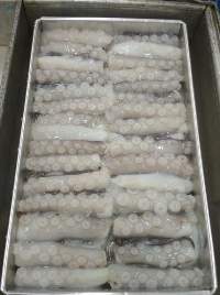 Cut Poulp Squid
