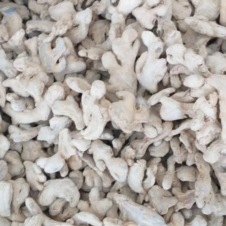 White Dry Ginger