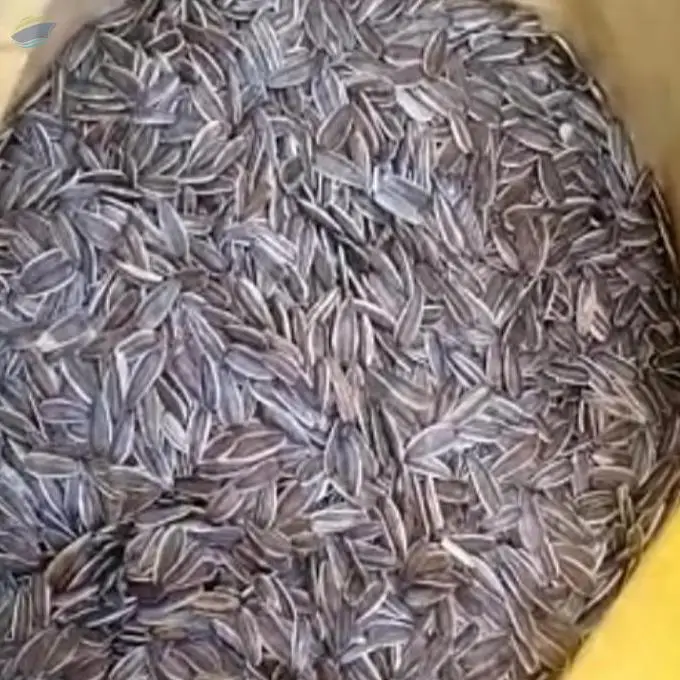 Sunflower Seed by Momex Foodstuff Trading LLC. Supplier from United