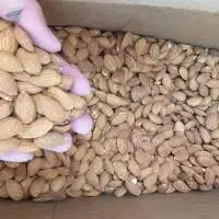 Almond