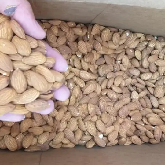 Almond