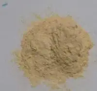 Garlic powder