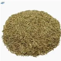 Cumin seeds