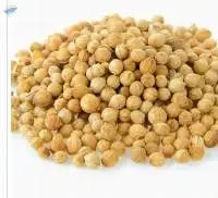 Coriander seeds