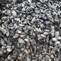 Palm Kernel Shell