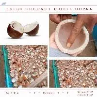 Edible Copra Coconut