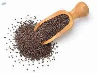 Mustard Seed
