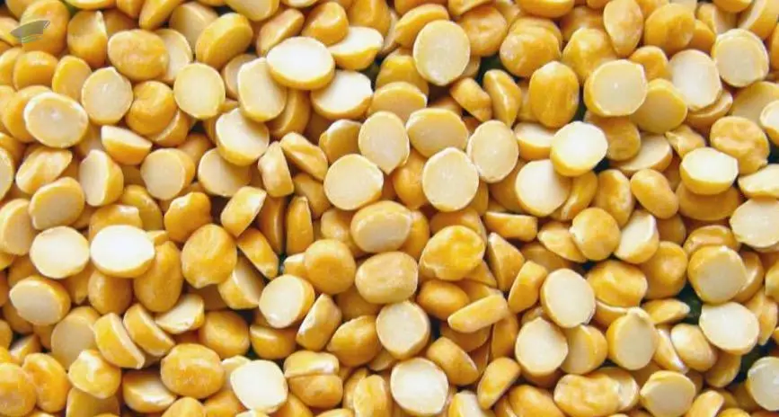 Indian (Desi) Chickpeas