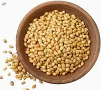 Coriander seed/powder