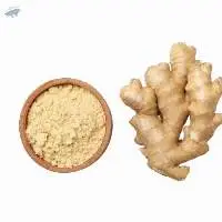 Ginger Bulb/powder/ Dry Ginger