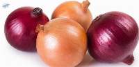 Onion Bulb/ Dry Flakes