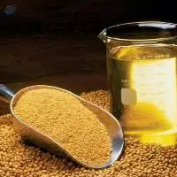 Soybean Meals