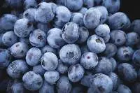 Frozen Blueberry