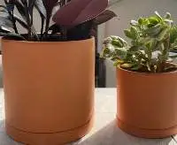 Terracota Pot