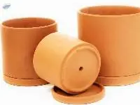 Terracota Pot