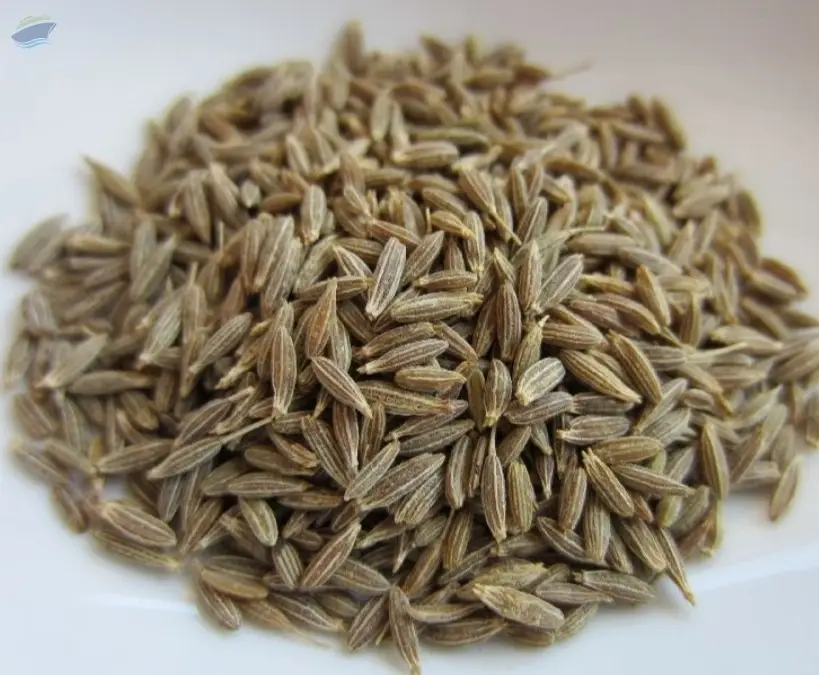 Cumin Seeds