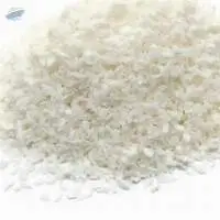 Desiccated Coconut Powder Coconut Meat