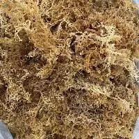 High Quality Dried Sea Moss 100% Natural