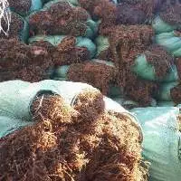 Manufacturer Of Dried Sargassum Seaweed
