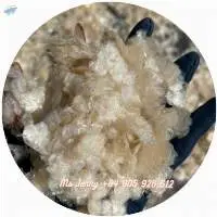 Dried Tilapia Fish Scales